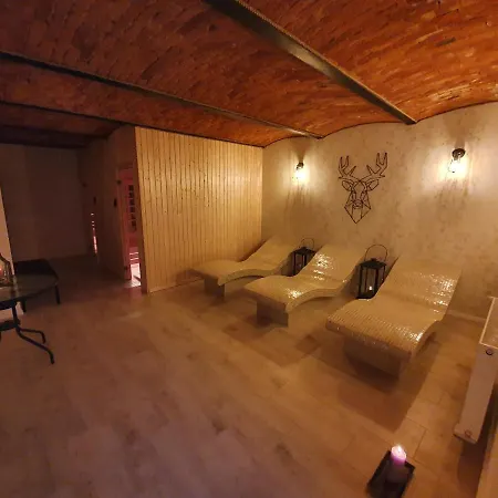 I Sauna W Starym Domu Отель типа 